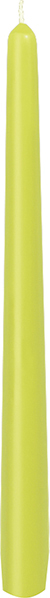 Leuchterkerzen, ca. 7h , 250 x 22 mm, kiwi