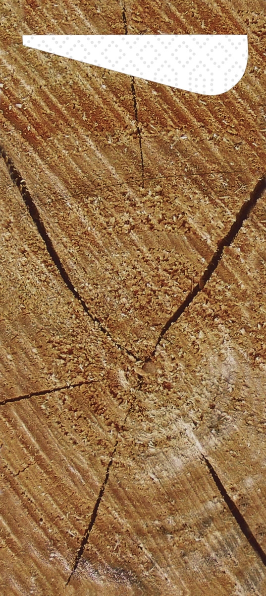 Sacchetto Zelltuch , 190 x 85 mm, Wood