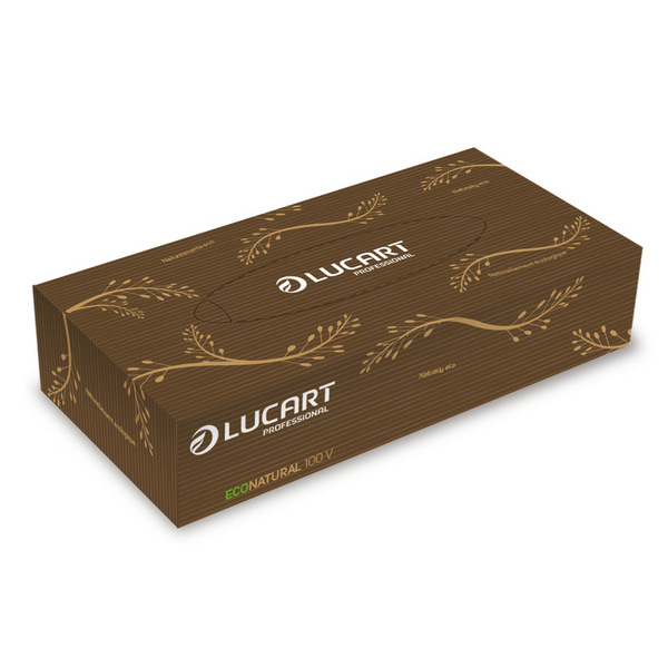 Kosmetiktuchbox Lucart, 2-lagig, EcoNatural Recycling, Box a 100 Tücher, 20x21cm, braun