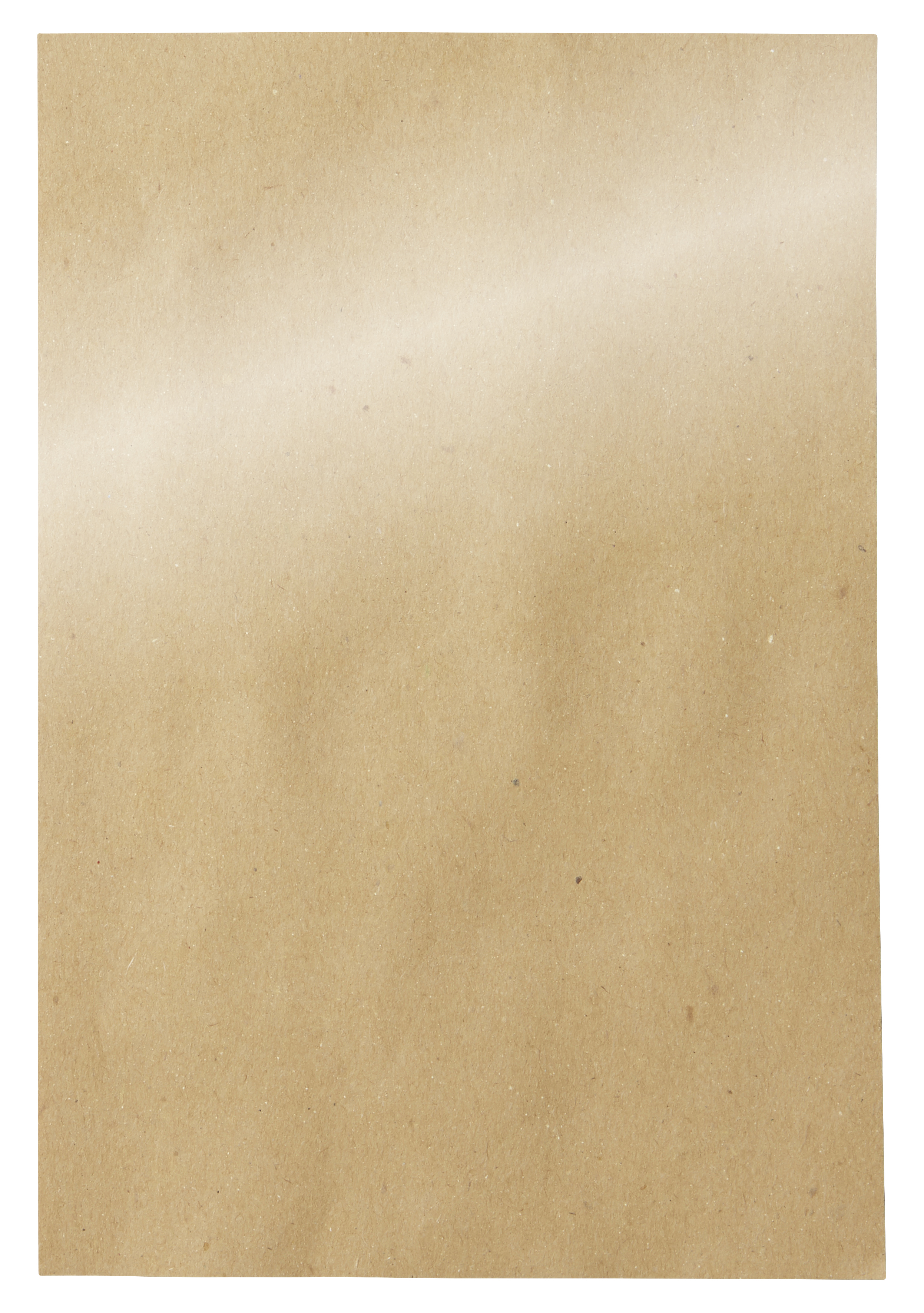 Papier-Tischsets (laminiert) , 30 x 45 cm, neutral