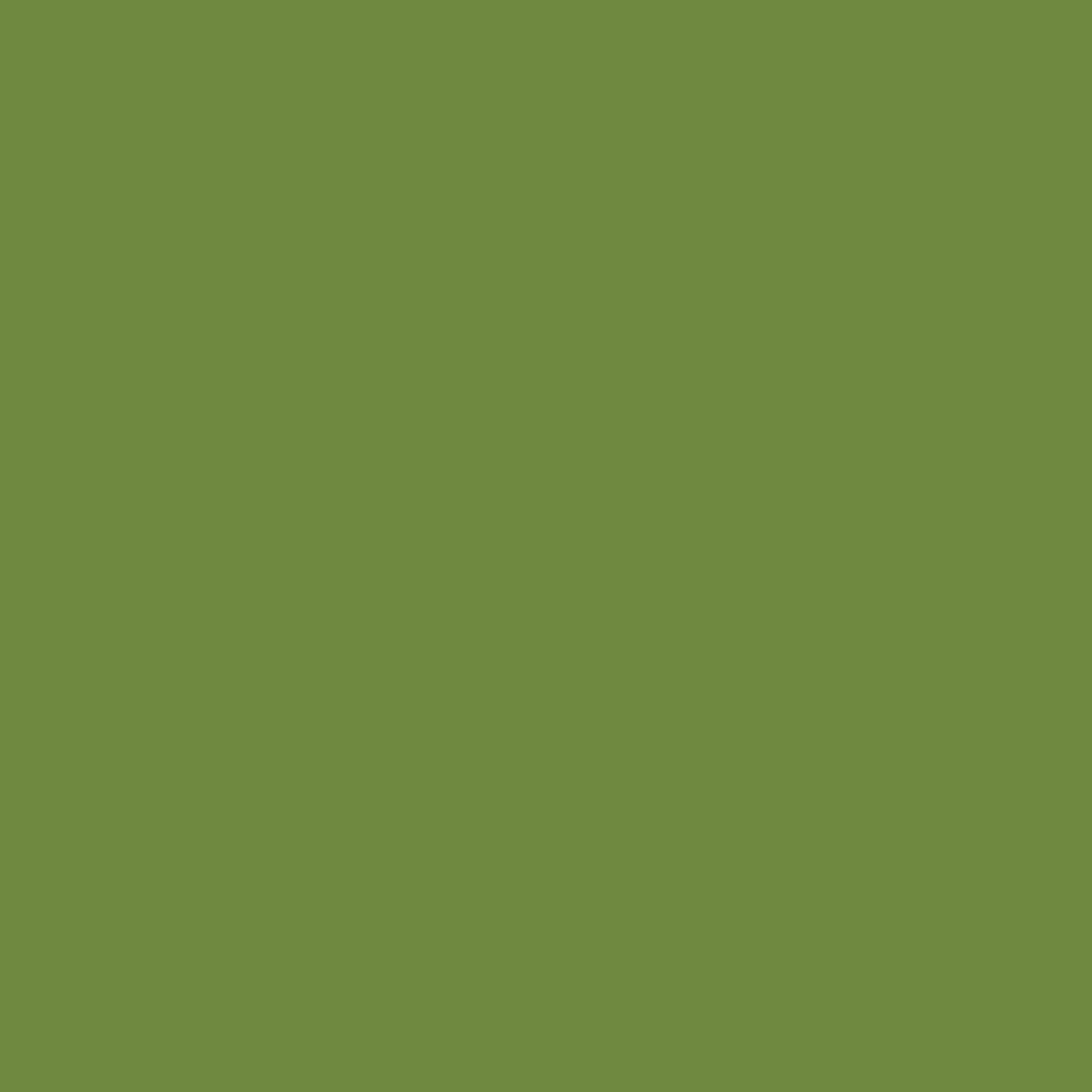 Zelltuchservietten 1/4 Falz, 24 x 24 cm, leaf green